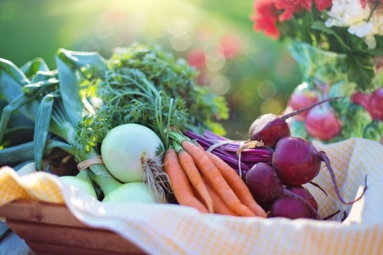 Castor Oil and Vitamin E Recipes | Castor Oil Guide