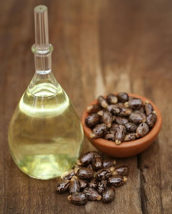 Is Castor Oil Safe for Dogs 1