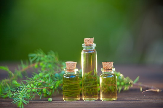 what is tea tree oil?