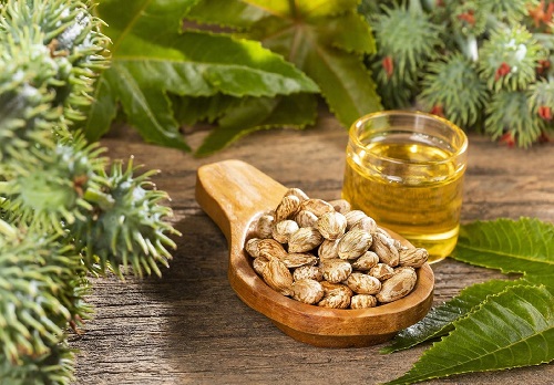 10 Different types of Castor Oil + Benefits 1