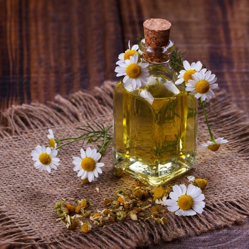 Chamomile Essential Oil