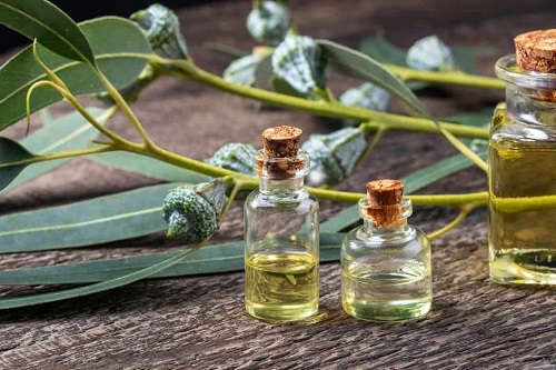 15 Best Essential Oils for Fever 2
