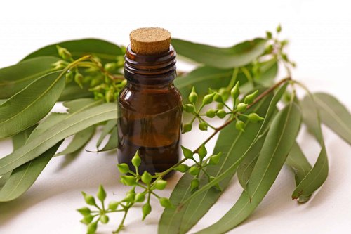 Essential Oils for Face Steam 7