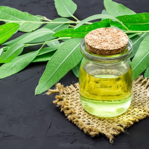 Essential Oils for Muscle Pain 3