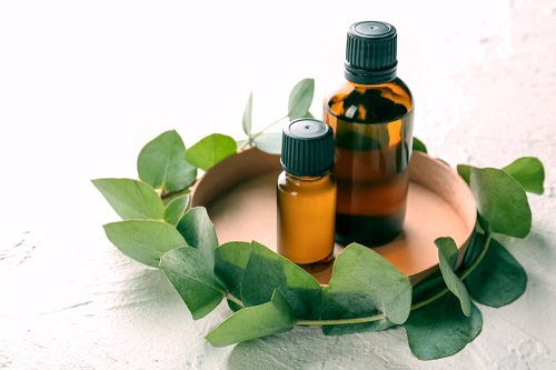 17 Best Smelling Essential Oils 6