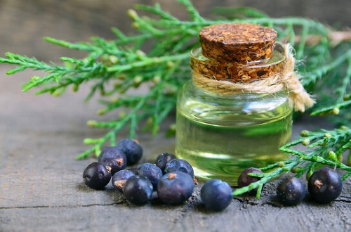15 Best Essential Oils for Bruises 7