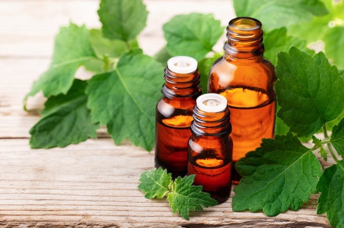 17 Best Smelling Essential Oils 7