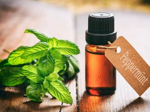 Essential Oils for Face Steam 9