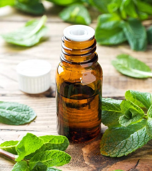 17 Best Smelling Essential Oils 3