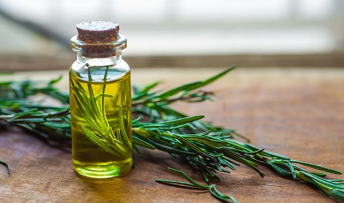 15 Best Essential Oils for Fever 5