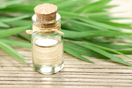 15 Best Essential Oils for Bruises 5