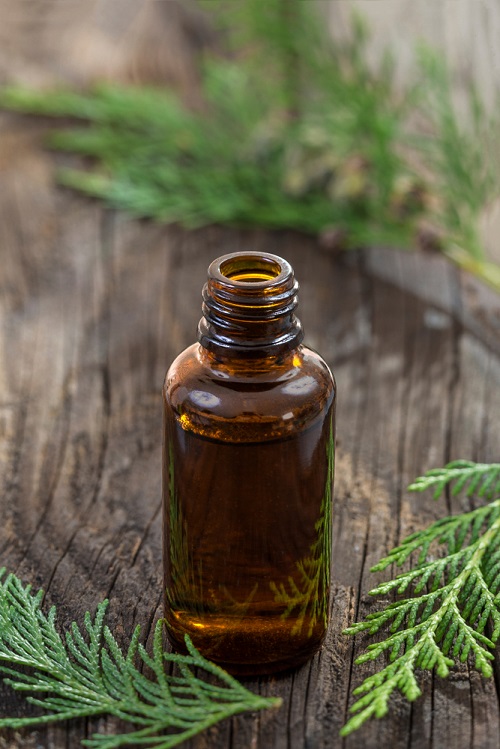15 Best Essential Oils for Bruises 8