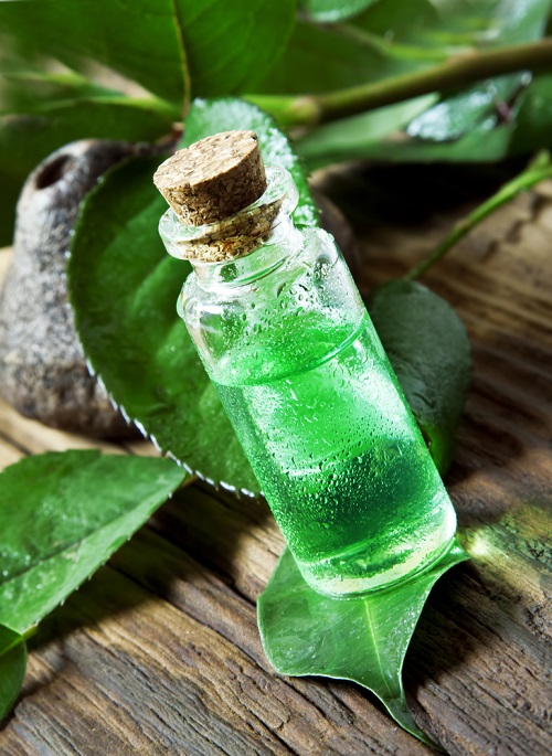 Castor Oil Hair Mask Recipes 6