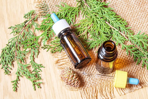 Essential Oils for Muscle Pain 9