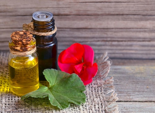 Essential Oils for Burns 5