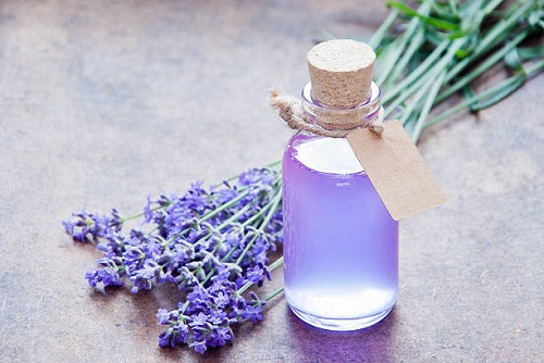 Essential Oils for Bee Stings 1