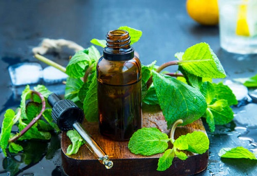 Essential Oils for Bee Stings 5