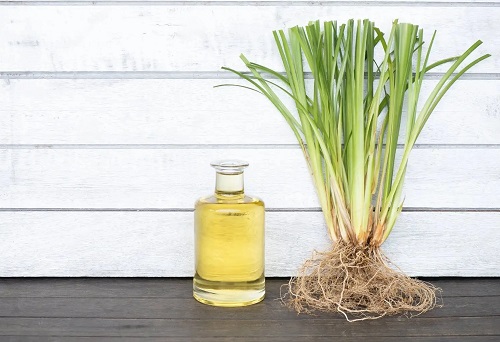Essential Oils for Muscle Pain 15