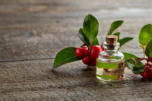 Essential Oils for Muscle Pain 13