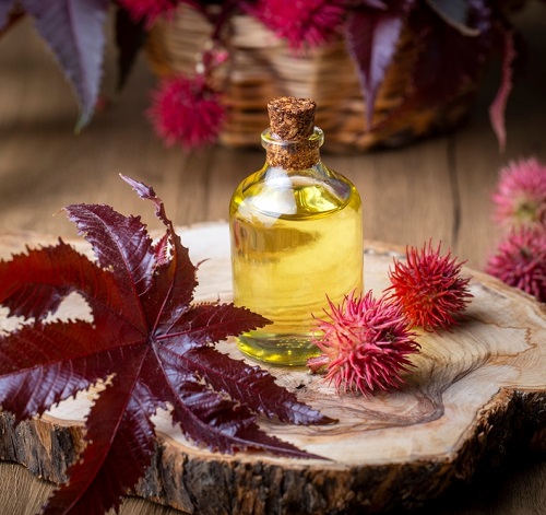Does Castor Oil Freeze? 1
