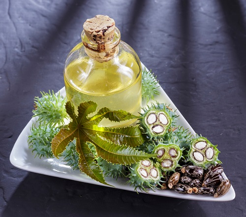 Is Castor Oil Safe for Cats? 1