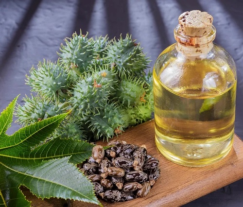 Is Castor Oil Good for Headaches? 1