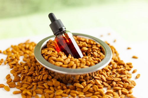 Castor Oil for Dog Tumors | Benefits and Usage 2
