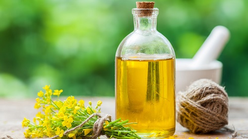 Seasoning Cast Iron with Canola Oil | Benefits and Usage 1