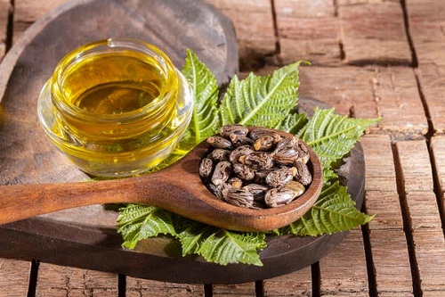 Castor Oil for Dog Tumors | Benefits and Usage 1