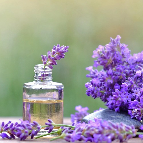 Lavender Essential Oil