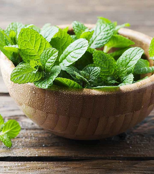 25 Herbs that Help with Headaches and Migraines 1