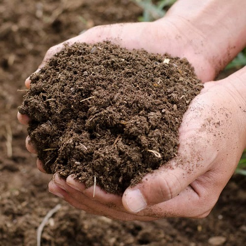 6 Castor Oil Uses for Garden 3