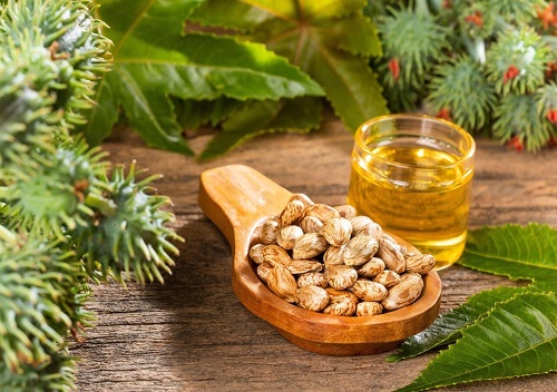 Castor Oil for Crohn's Disease | Benefits and Usage 3