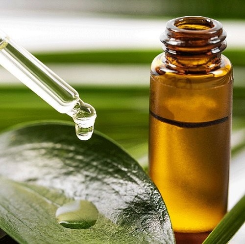 Tea Tree Oil for Bug Bites