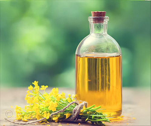 Peanut Oil vs. Canola Oil 2