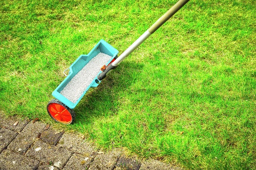 Does Castor Oil Kill Grass? 2