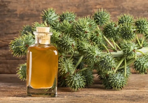 Does Castor Oil Help Spider Veins? 1