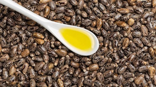 Castor Oil Get Rid Of Mucus 1