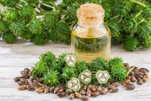 Does Castor Oil Kill Grass? 1