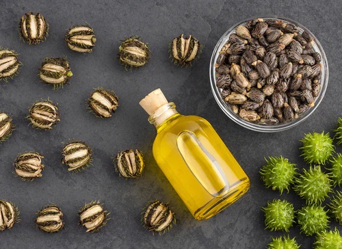 Can Castor Oil Cure Goiter? 1