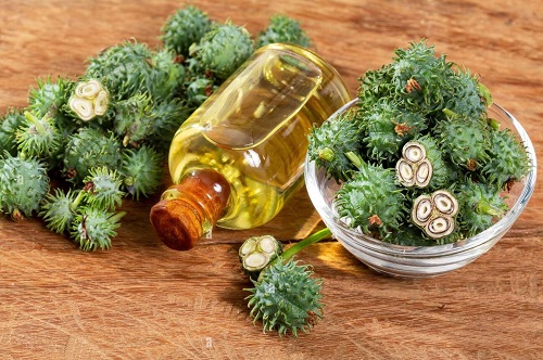 6 Castor Oil Body Wash Recipes for Healthy Glowing Skin 1