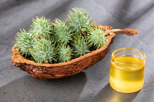 Castor Oil Is Hexane Free 1