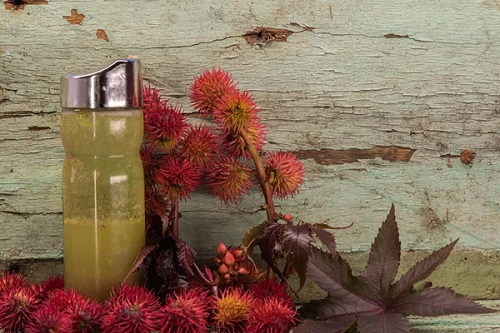 Castor Oil Anti Fungal 1