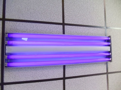 Bed Bugs With Black Light 7