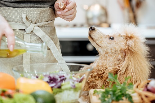 Dogs Have Sesame Oil 3