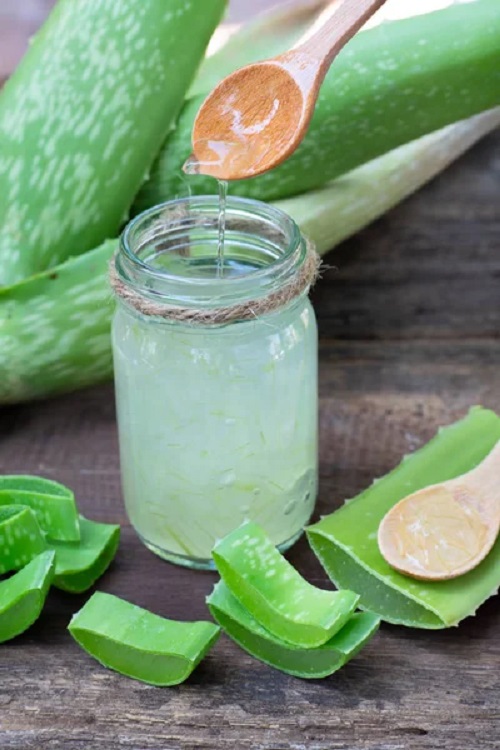 Does Aloe Vera Gel Get Expire? 1