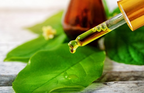 Does Tea Tree Oil Expire? 5