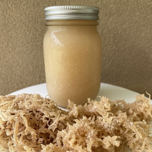 Sea Moss Gel 3