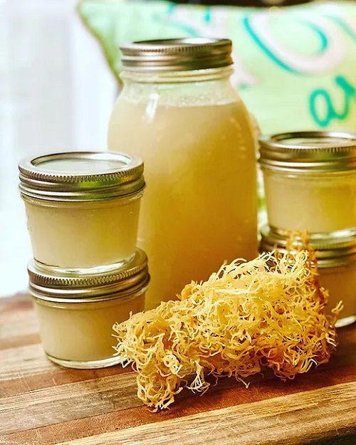 Sea Moss Gel 1