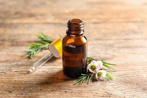 Does Tea Tree Oil Expire? 1